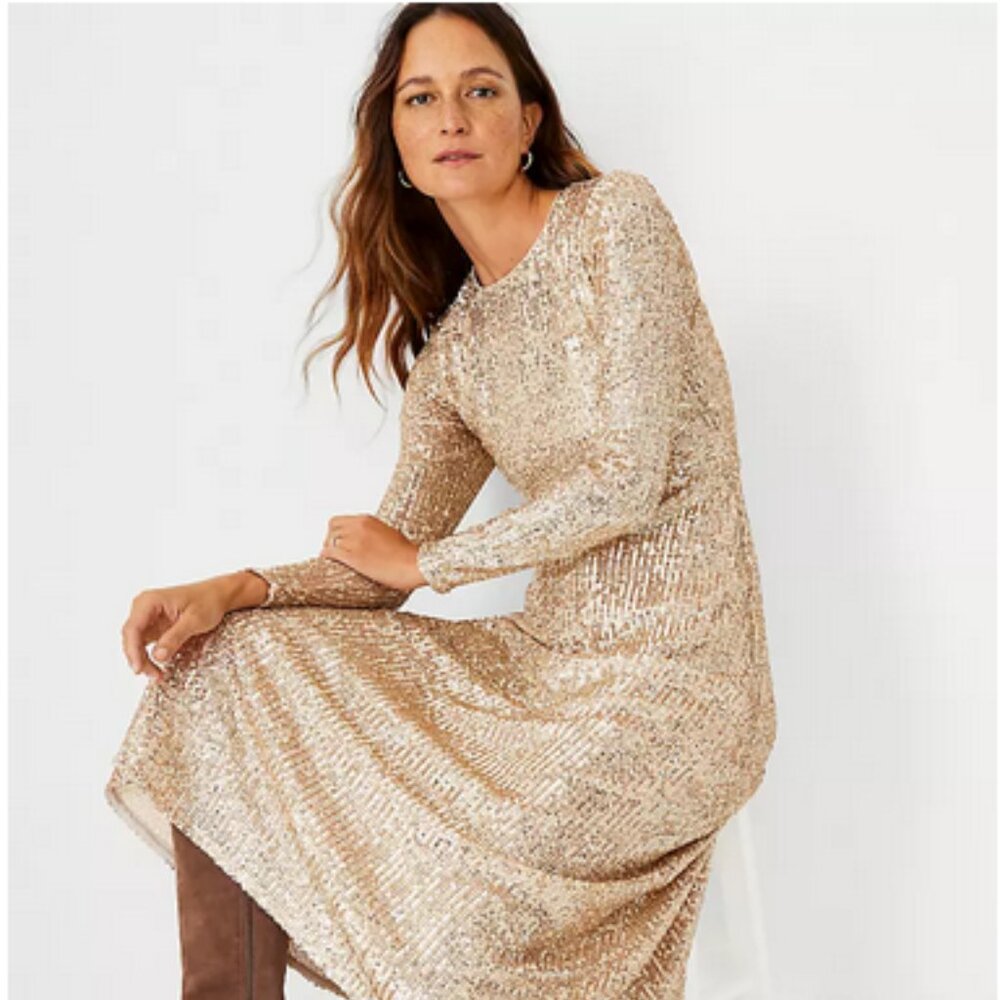 Ann Taylor Petite Sequin Midi Flare Dress NWT